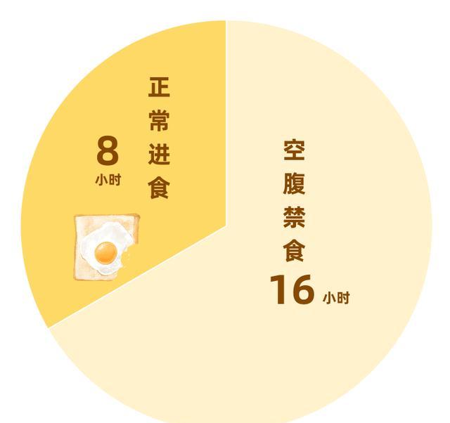 16+8轻断食示意图